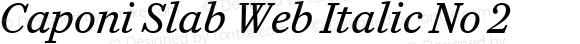 Caponi Slab Web Italic No 2