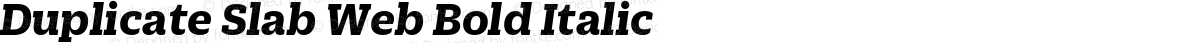 Duplicate Slab Web Bold Italic