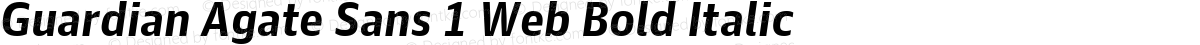 Guardian Agate Sans 1 Web Bold Italic