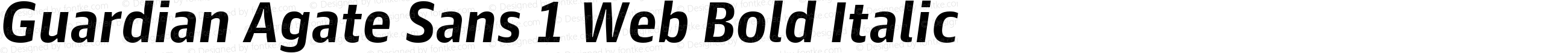 Guardian Agate Sans 1 Web Bold Italic