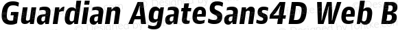 Guardian AgateSans4D Web Bold Italic