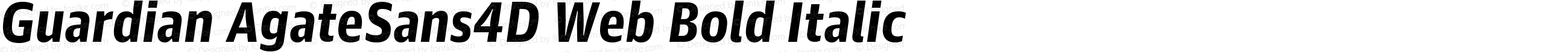 Guardian AgateSans4D Web Bold Italic