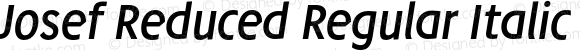 Josef Reduced Regular Italic