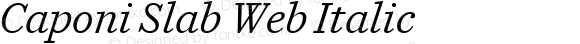 Caponi Slab Web Italic