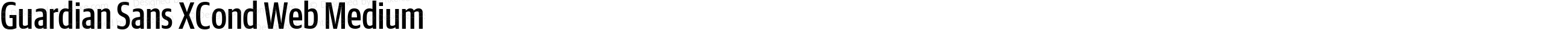 Guardian Sans XCond Web Medium
