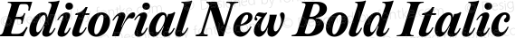 Editorial New Bold Italic