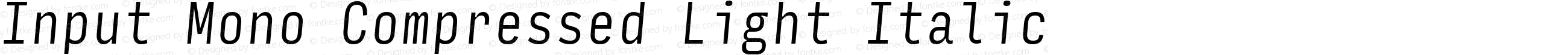 Input Mono Compressed Light Italic