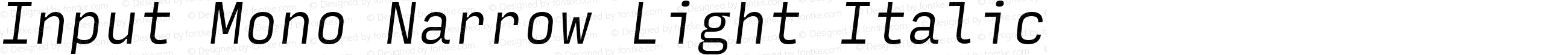 Input Mono Narrow Light Italic