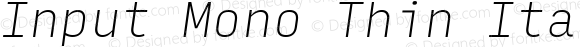 Input Mono Thin Italic