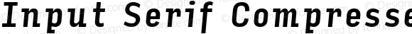 Input Serif Compressed Medium Italic