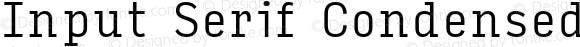 Input Serif Condensed Light