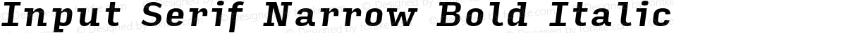 Input Serif Narrow Bold Italic