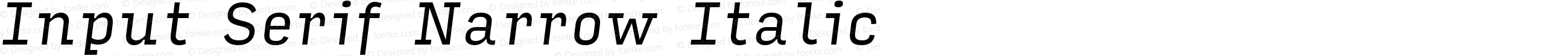 InputSerifNarrow Italic