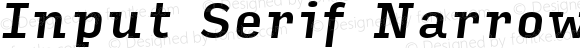 Input Serif Narrow Medium Italic
