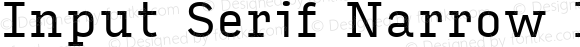 Input Serif Narrow Regular