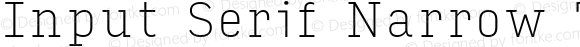 Input Serif Narrow Thin