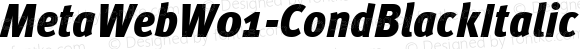 MetaWeb W01 CondBlackItalic