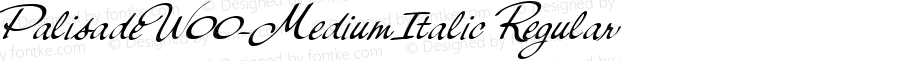 Palisade W00 Medium Italic