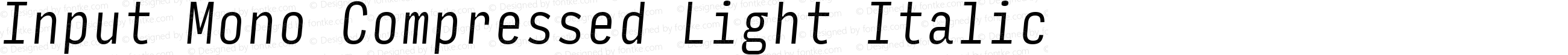 Input Mono Compressed Light Italic