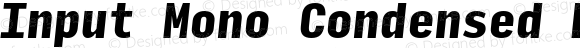 Input Mono Condensed Black Italic