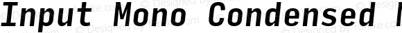 Input Mono Condensed Medium Italic