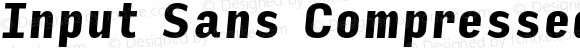 Input Sans Compressed Black Italic