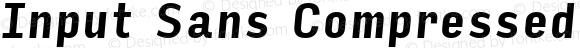 Input Sans Compressed Bold Italic