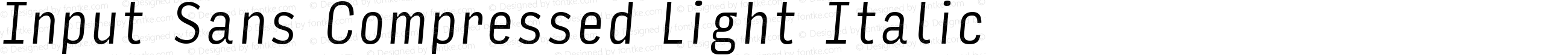 Input Sans Compressed Light Italic