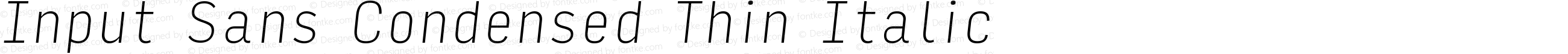 Input Sans Condensed Thin Italic