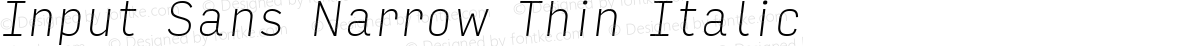 Input Sans Narrow Thin Italic