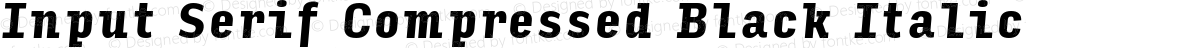 Input Serif Compressed Black Italic