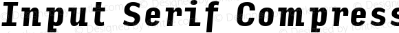 Input Serif Compressed Black Italic
