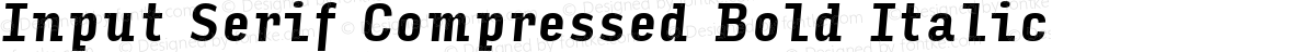 Input Serif Compressed Bold Italic