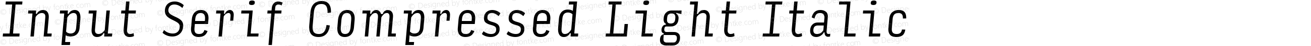 Input Serif Compressed Light Italic