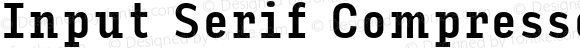 Input Serif Compressed Medium
