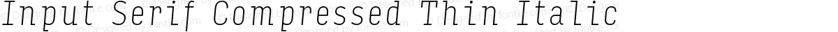 Input Serif Compressed Thin Italic