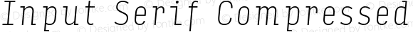 Input Serif Compressed Thin Italic