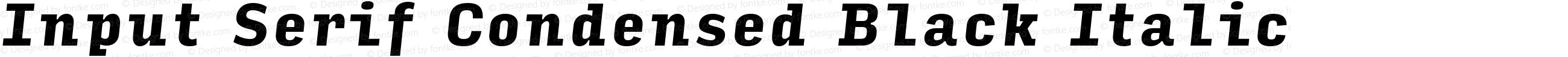 Input Serif Condensed Black Italic