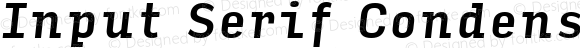 Input Serif Condensed Medium Italic
