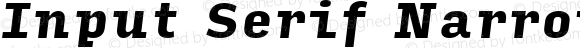 Input Serif Narrow Black Italic