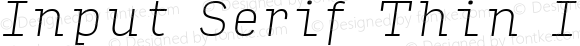 Input Serif Thin Italic