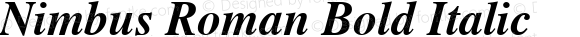 Nimbus Roman Bold Italic