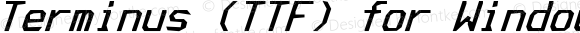 Terminus (TTF) for Windows Bold Italic