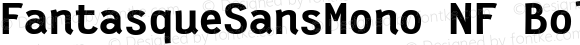 Fantasque Sans Mono Bold Nerd Font Complete Mono Windows Compatible