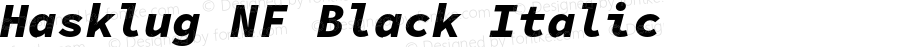 Hasklug Black Italic Nerd Font Complete Windows Compatible