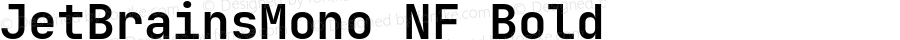 JetBrains Mono Bold Nerd Font Complete Mono Windows Compatible