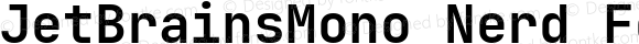 JetBrainsMono Nerd Font Mono Bold