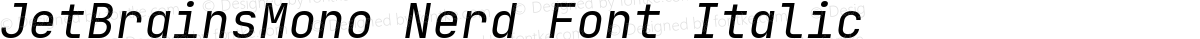 JetBrainsMono Nerd Font Italic