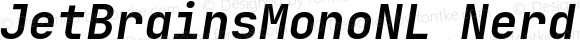 JetBrainsMonoNL Nerd Font Bold Italic