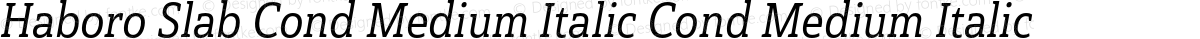 Haboro Slab Cond Medium Italic Cond Medium Italic
